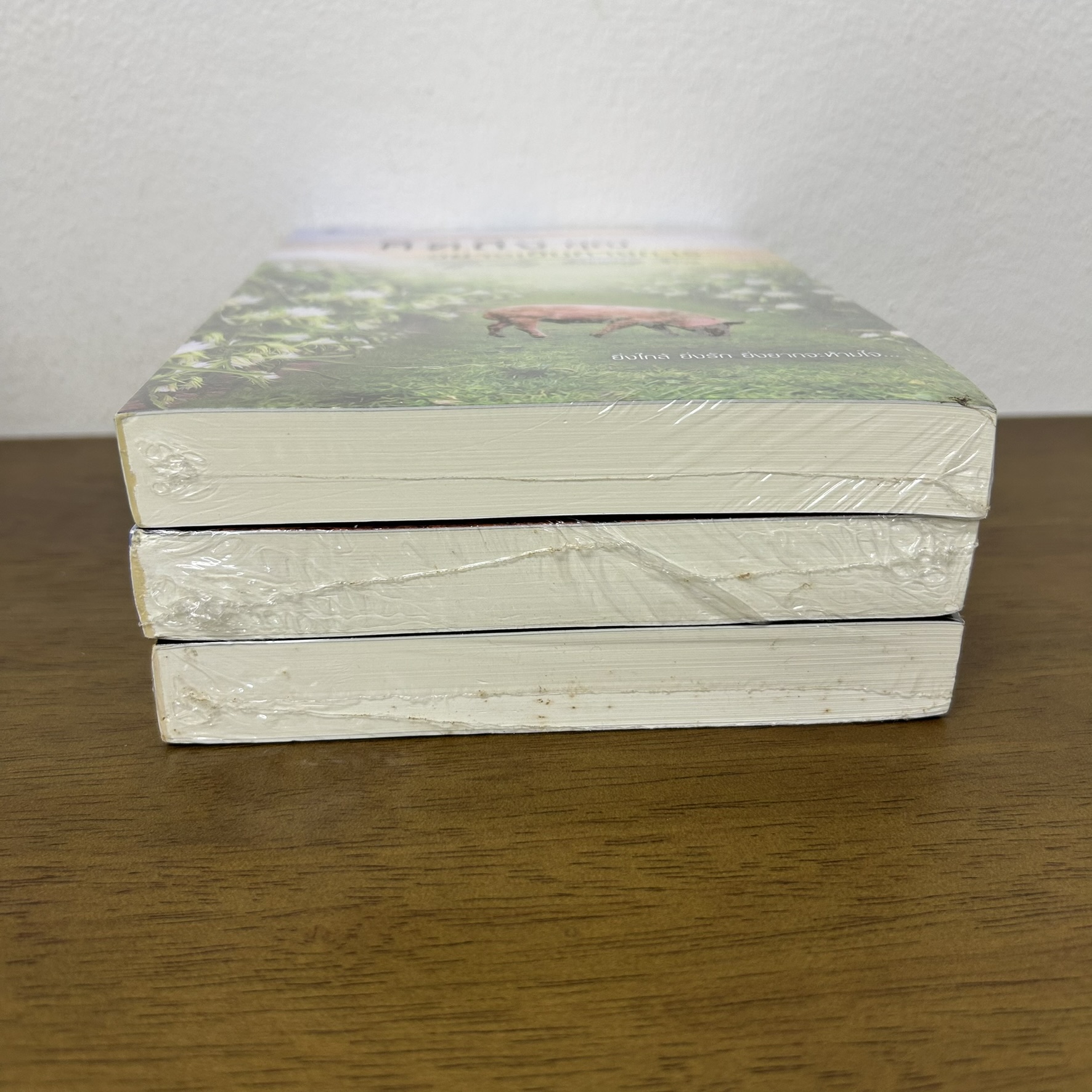 มัดใจคุณอย่างเป็นทางการ/รักคุณอย่างเป็นทางการ/คิดถึงคุณอย่างเป็นทางการ 3 เล่ม ... วรศิษฏ์ (มือหนึ่งซีล) นิยาย