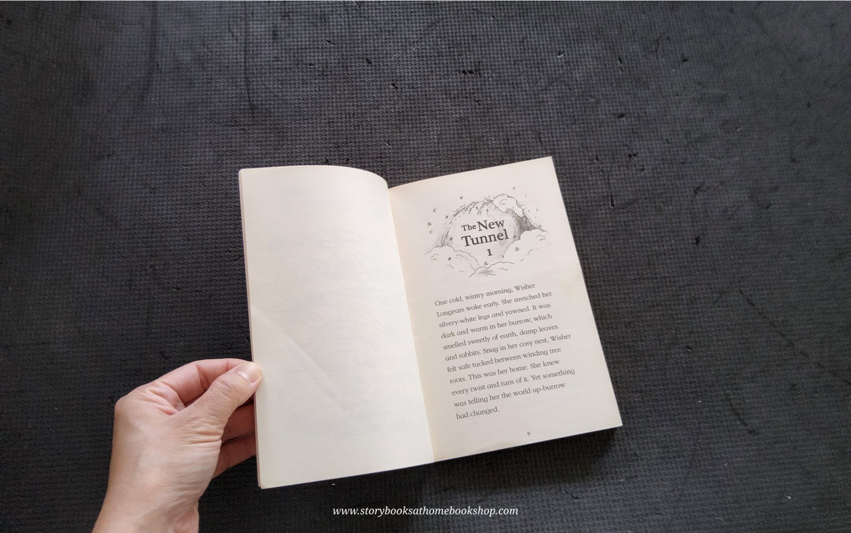 วรรณกรรมเยาวชน** 🍅The Railway Rabbites: Berry Goes to Winterland by Georgie Adams Anna Currey