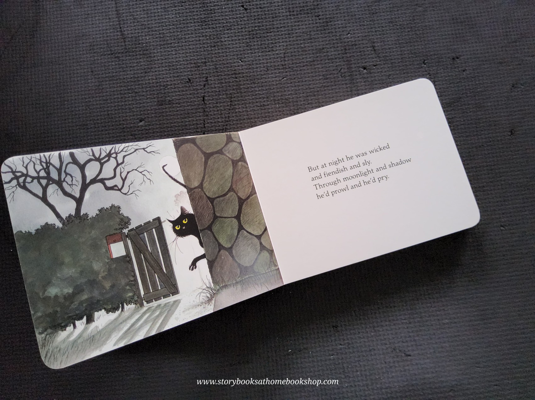 BOARD BOOK ** 🍅🍓Slinky Malinky by Lynley Dodd