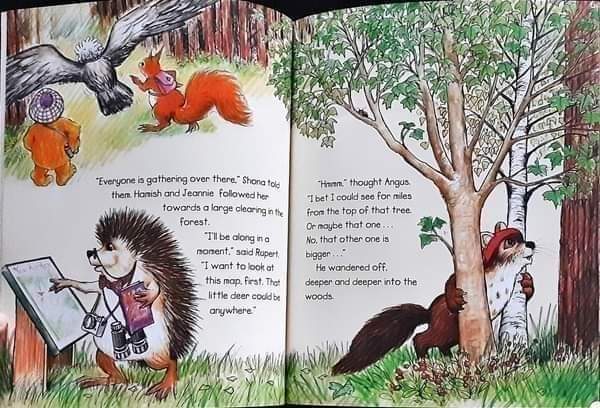 หนังสือนิทานปกอ่อน** 🍅🍓Hamish McHaggis and The Lost Princess