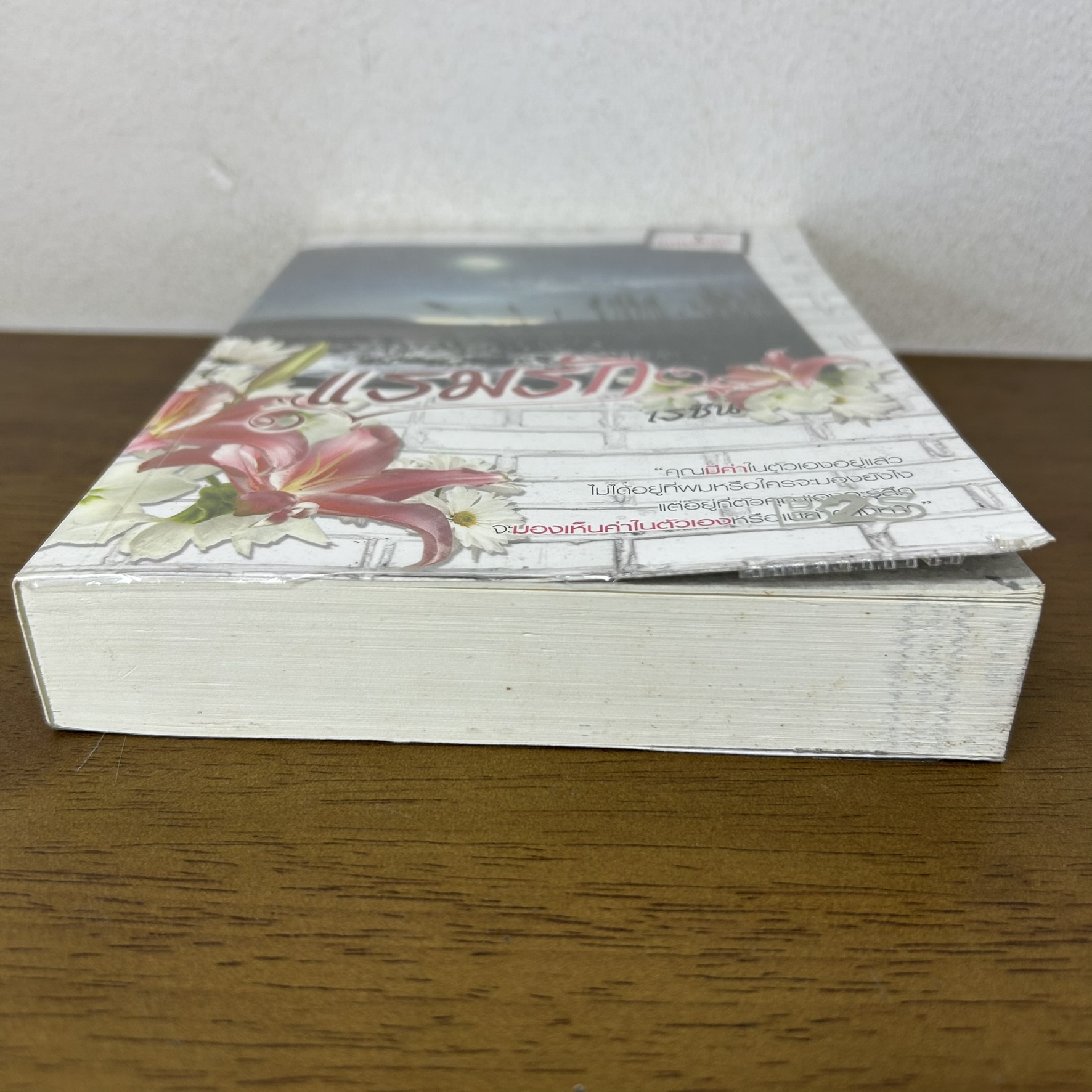 แรมรัก ... เรซิน (มือสอง) นิยาย FINEBOOK