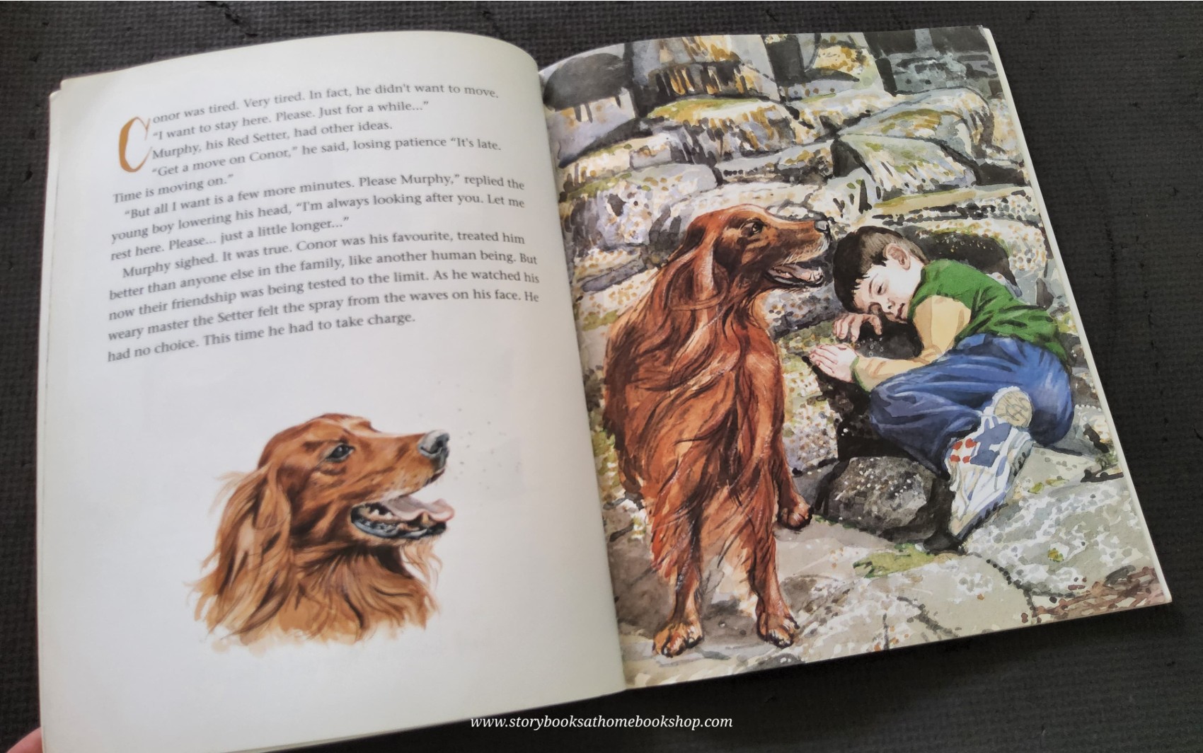 หนังสือนิทานปกอ่อน** ♥️A DAY TO REMEMBER AT THE GIANT'S CAUSEWAY