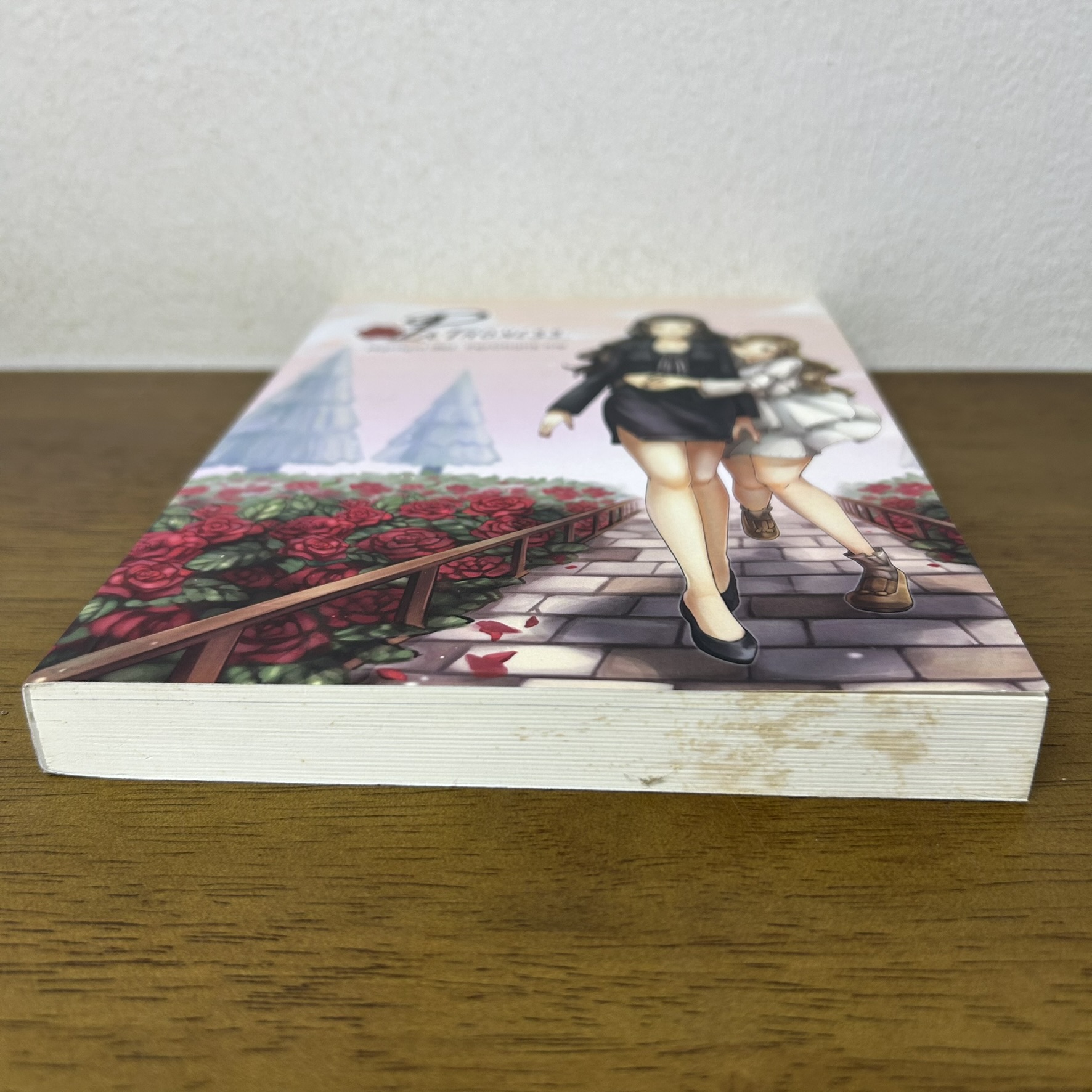 [YURI] Patroness ... Marilyni (มือสอง) นิยาย โรแมนติก ยูริ