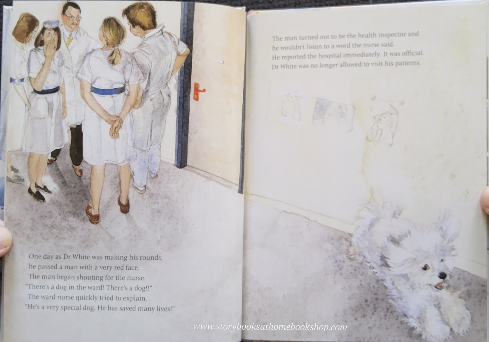 หนังสือนิทานปกแข็ง** 🍅🍅DR WHITE BY JANE GOODALL.JULIE LITTY