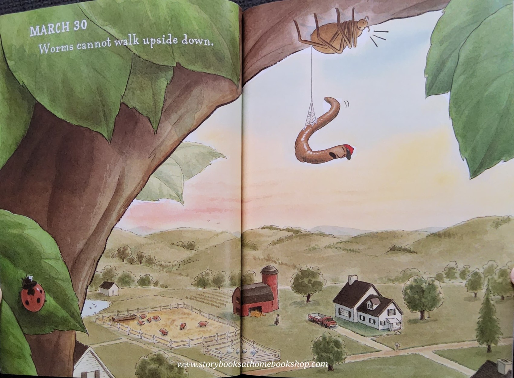 หนังสือนิทานปกอ่อน** 🍅🍓DIARY OF A WORM BY DOREEN CRONIN