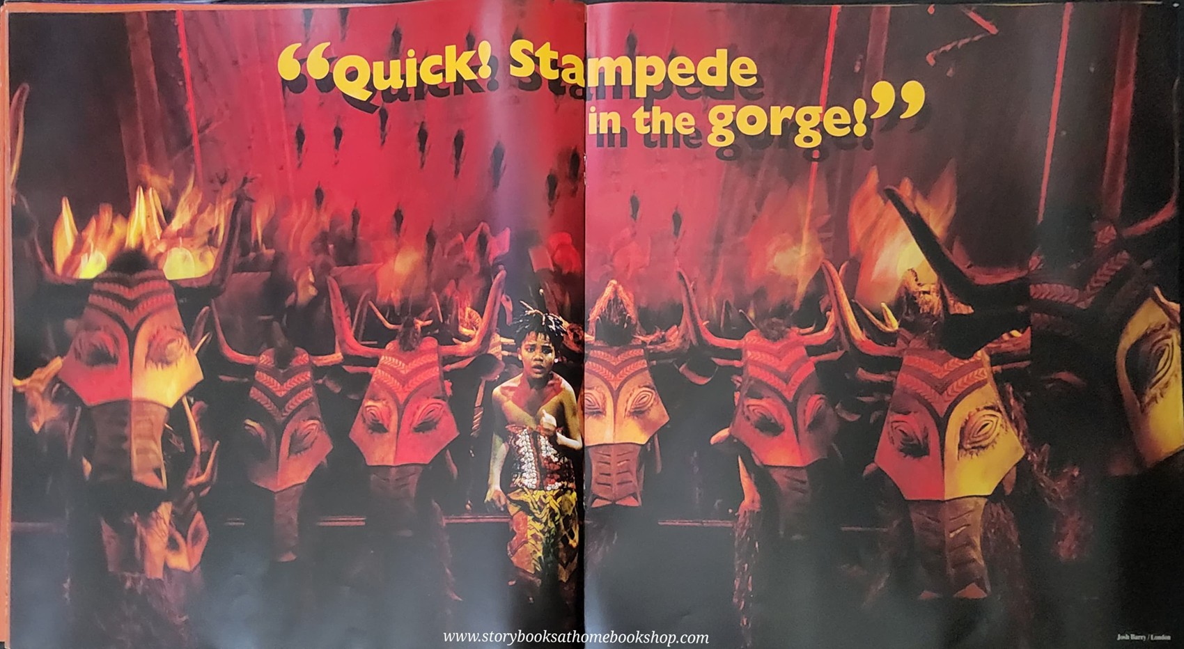 หนังสือปกอ่อน** 🍅🍓DISNEY PRESENT THE LION KING