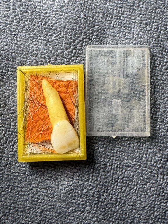 พระทันตธาตุ ครูบาฝ้าย วัดพระธาตุดอยตุง อ.แม่สาย จ.เชียงราย ได้มาจากดาบจรูญ อาศัยอยู่ที่ อ.แม่สาย จ.เชียงราย อายุ 68 ปี ปัจจุบันยังมีชีวิตอยู่ ดาบจรูญเป็นศิษย์ครูบาฝ้ายตั้งแต่ปี 2545 ดาบจรูญท่านได้พระทันตธาตุนี้มาเมื่อปี 2554