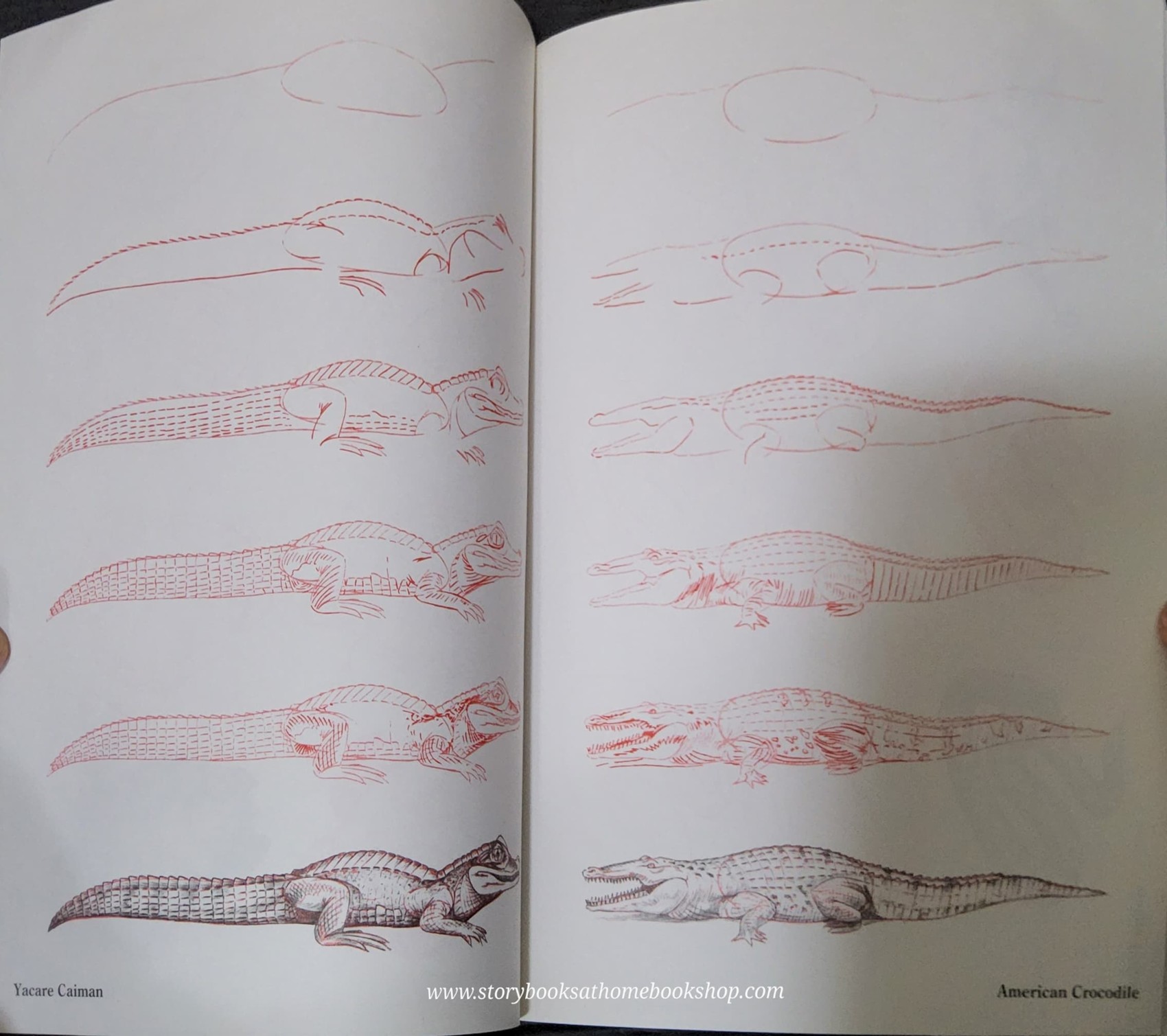 Knowledge Book** ð
ðDRAW 50 ENDANGERED ANIMALS