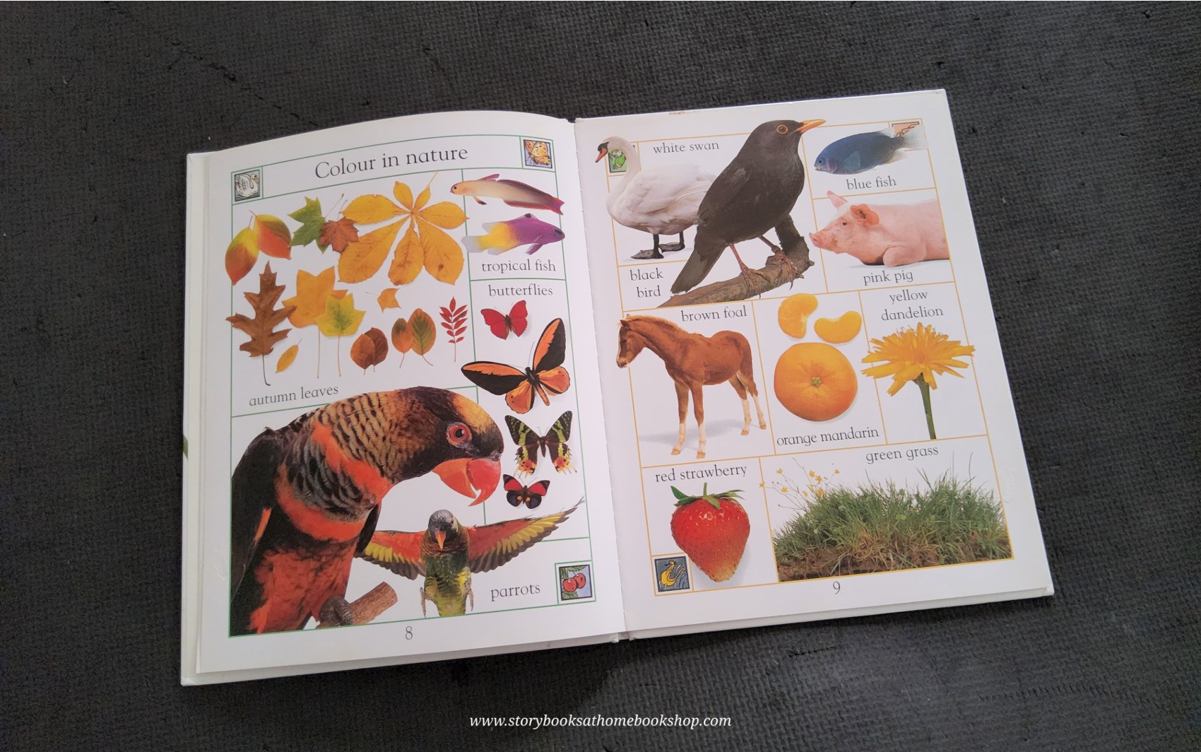 KNOWLEDGE BOOK** ♥️♥️BABY'S BOOK OF NATURE