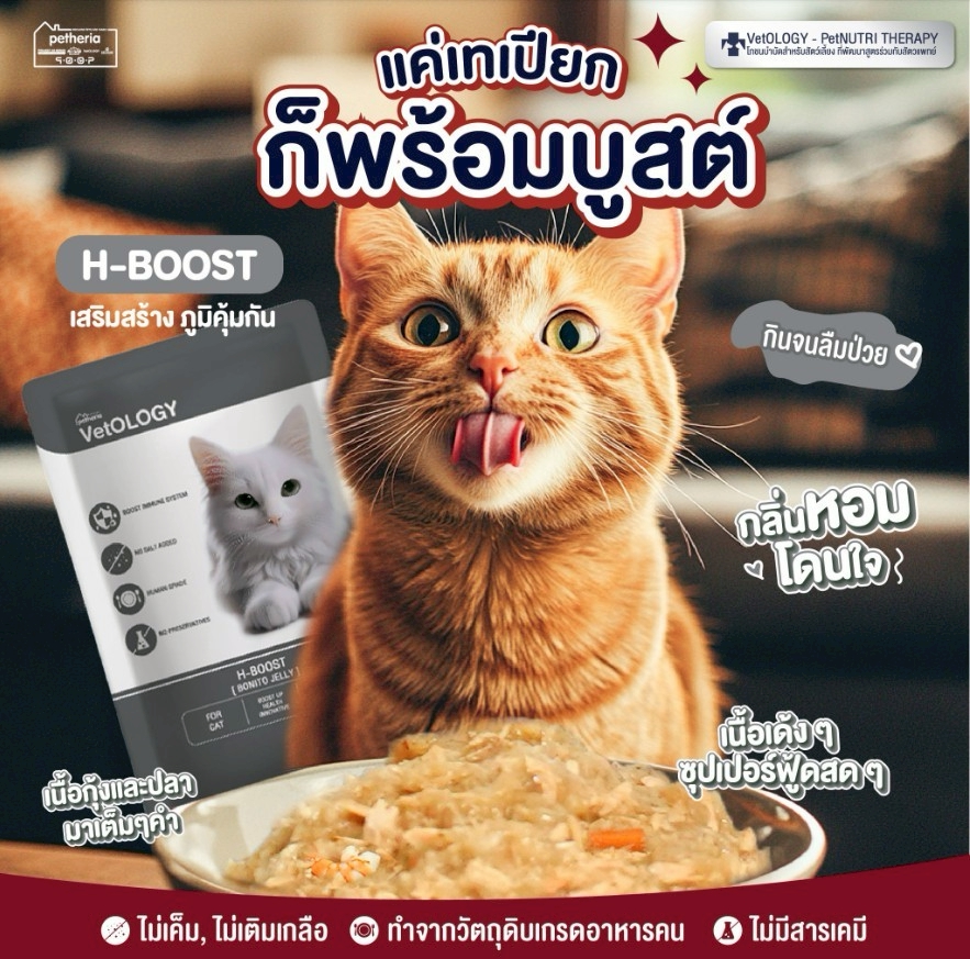 Petheria VetOLOGY เพ็ทเทอเรีย อาหารเปียกแมว สูตรบำรุงสุขภาพ ไม่เติมเกลือ ขนาด 80g