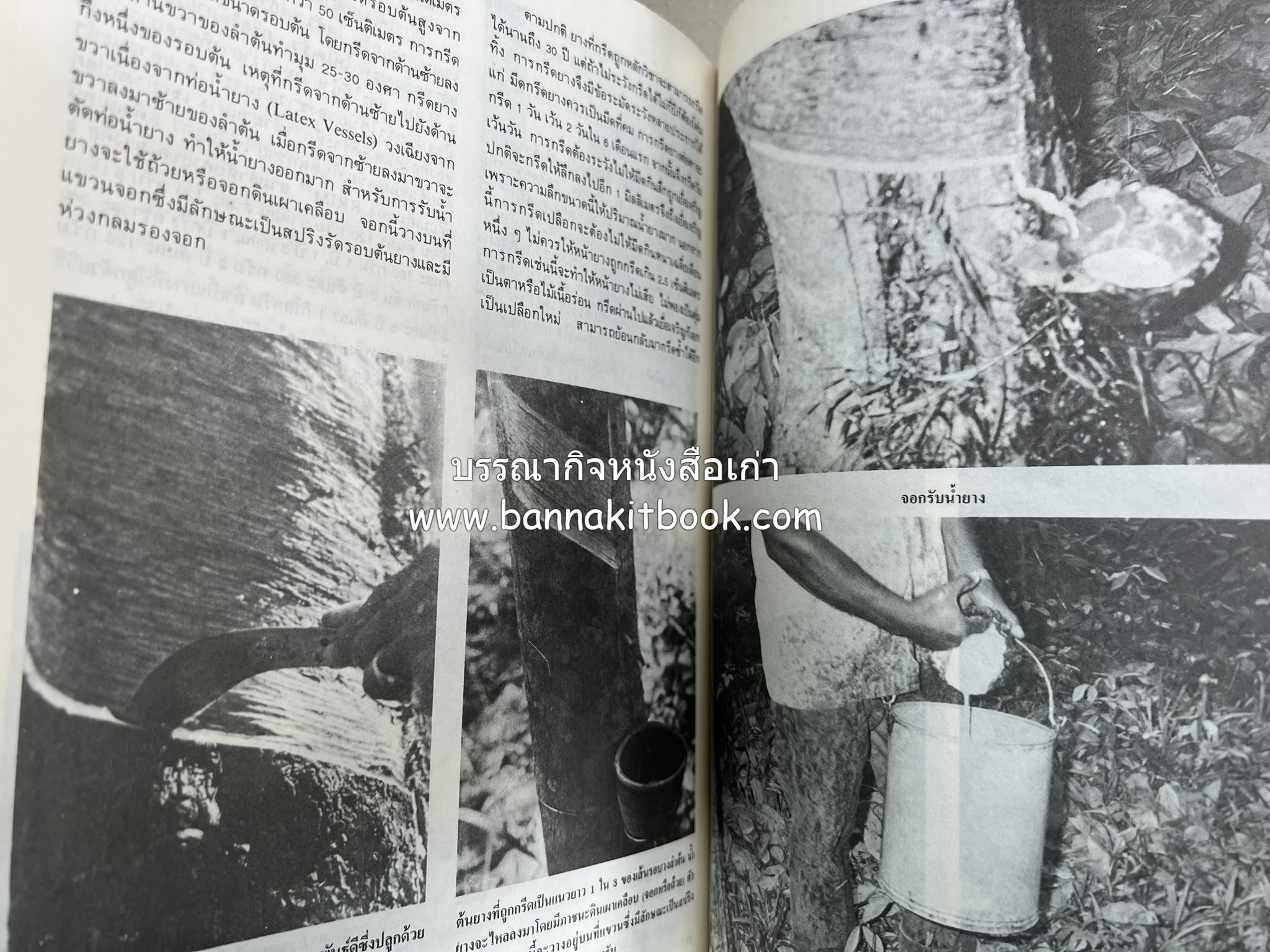 ถลาง ภูเก็ต และชายฝั่งทะเลอันดามัน : โบราณคดี ประวัติศาสตร์ ชาติพันธุ์และเศรษฐกิจ.