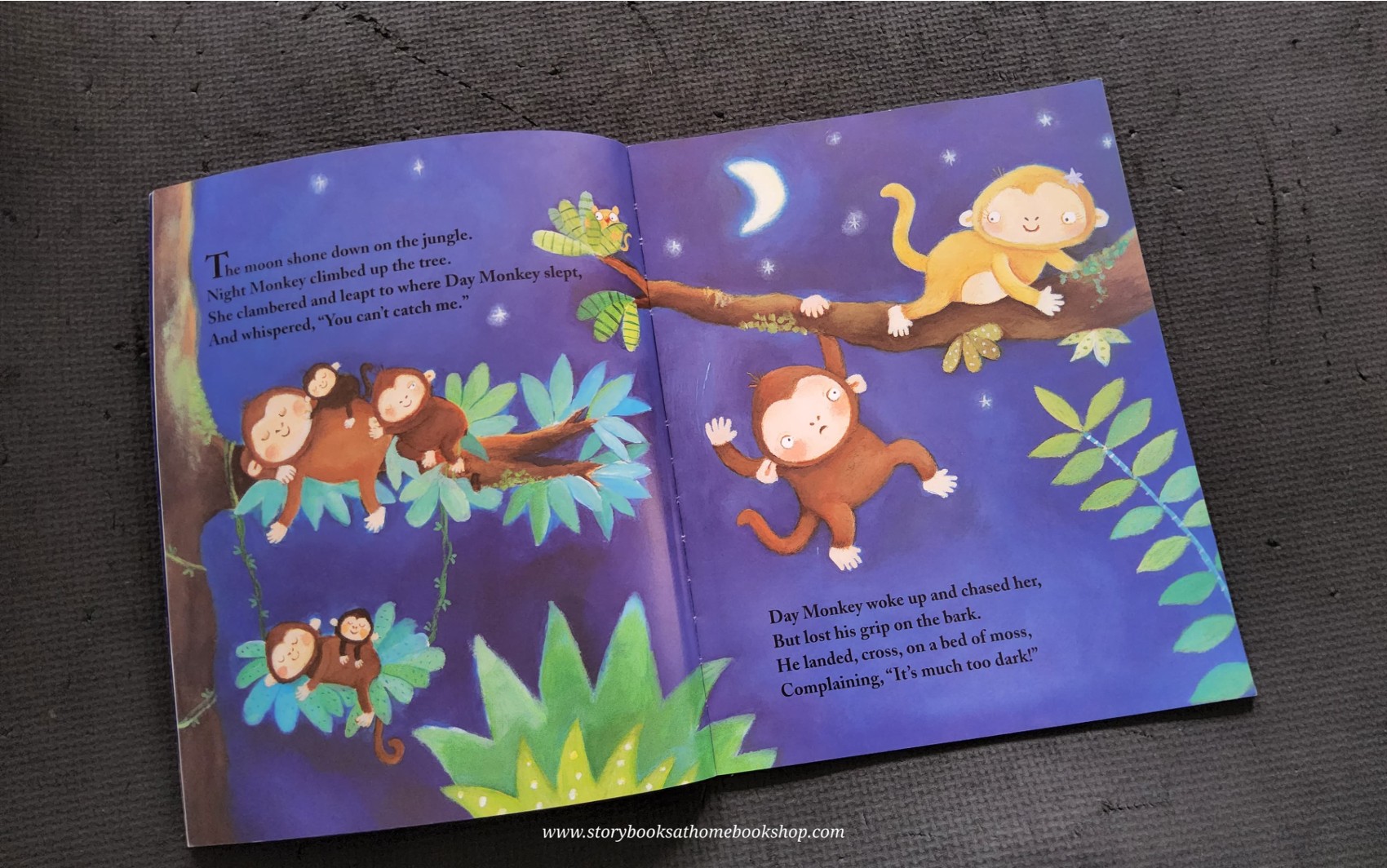 หนังสือนิทานปกอ่อน ** 🍅🍓NIGHT MONKEY DAY MONKEY BY JULIA DONALDSON