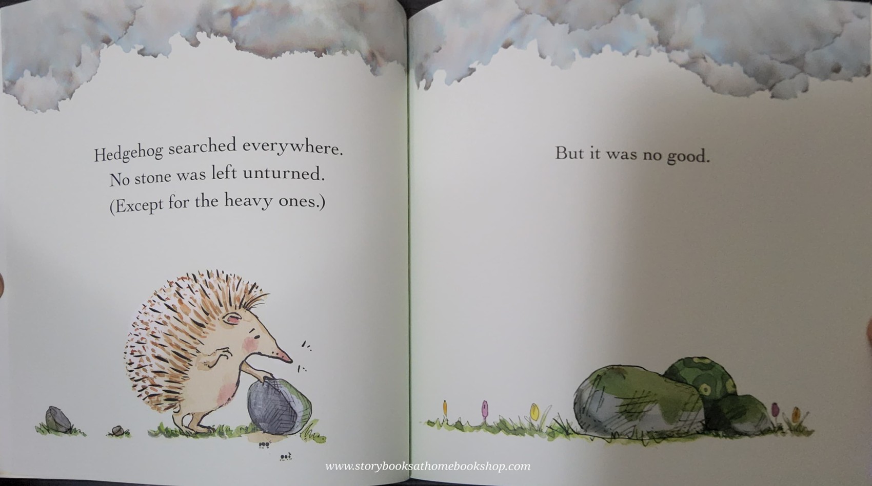 หนังสือนิทานปกอ่อน** 🍅🍓THE LONGER THE WAIT,THE BIGGER THE HUG BY Eoin McLaughlin and Polly Dunbar