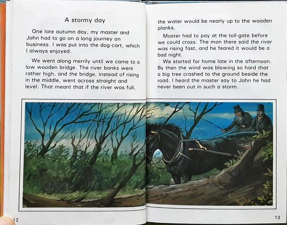 หนังสือนิทานปกแข็ง** 🍅🍓BLACK BEAUTY