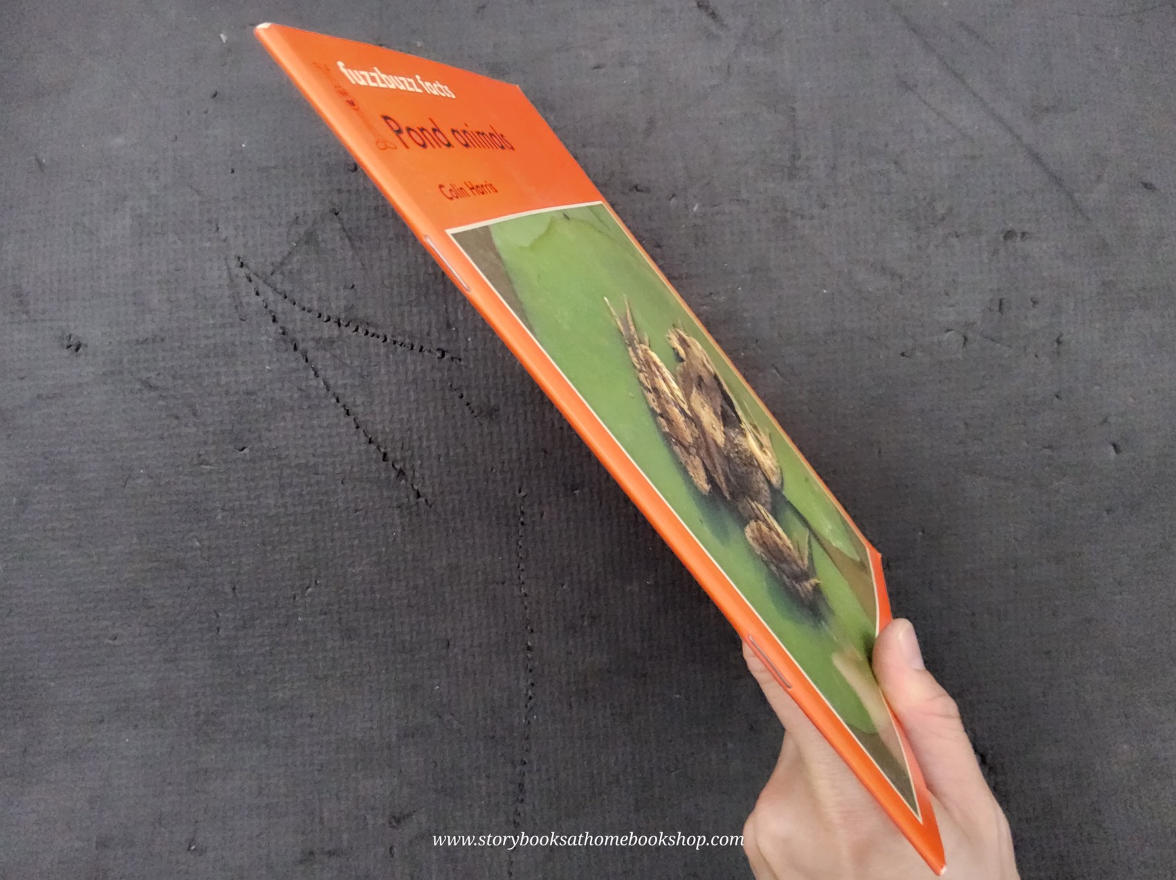 Knowledge Book** ð
ð
FUZZBUZZ FACTS: POND ANIMALS LEVEL2