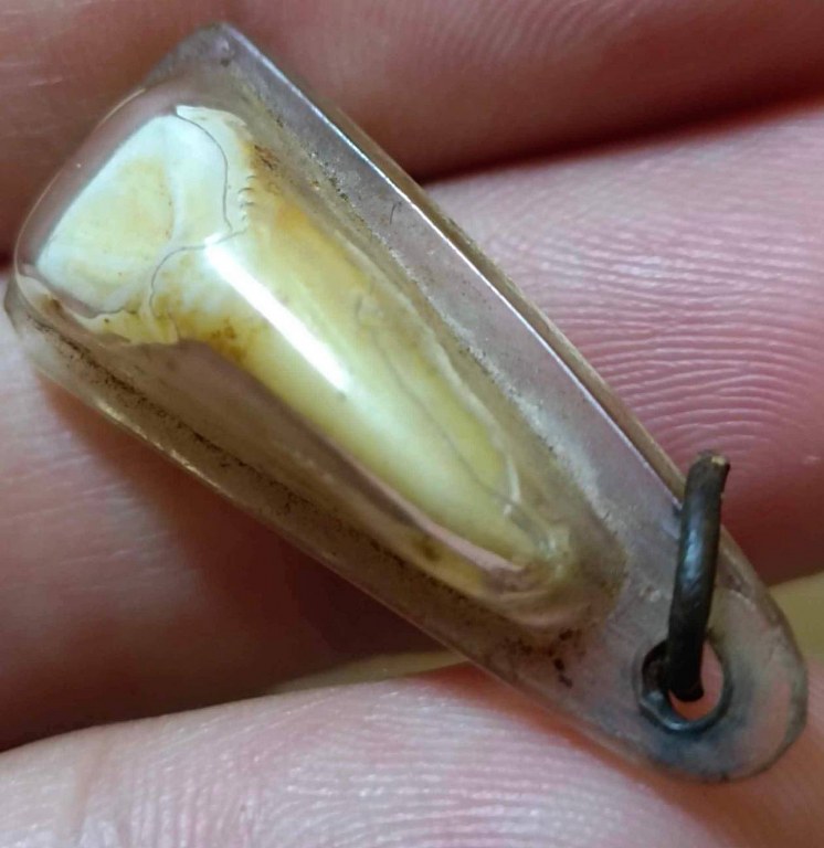 พระทันตธาตุ ครูบาขาวคำปัน วัดผาหนาม ท่านมรณภาพวัดพระธาตุหัวขัว ได้จากพ่อหนานชัยเดช ท่านเป็นคนทุ่งหัวช้าง จ.ลำพูน พ่อหนานชัยเดช ท่านได้รับพระทันตธาตุนี้มา ปี 2538 หลังจากครูบาขาวคำปันมรณภาพ พ่อหนานชัยเดชก็กลับมาอยู่บ้าน อ.ทุ่งหัวช้างจนเสียชีวิตเมื่อ