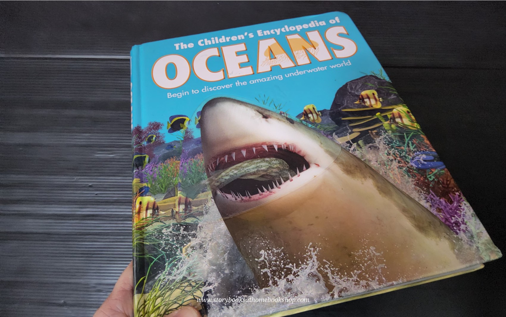 Knowledge Book** ð
ðTHE CHILDREN'S ENCYCLOPEDIA OF OCEANS with 3D COVER