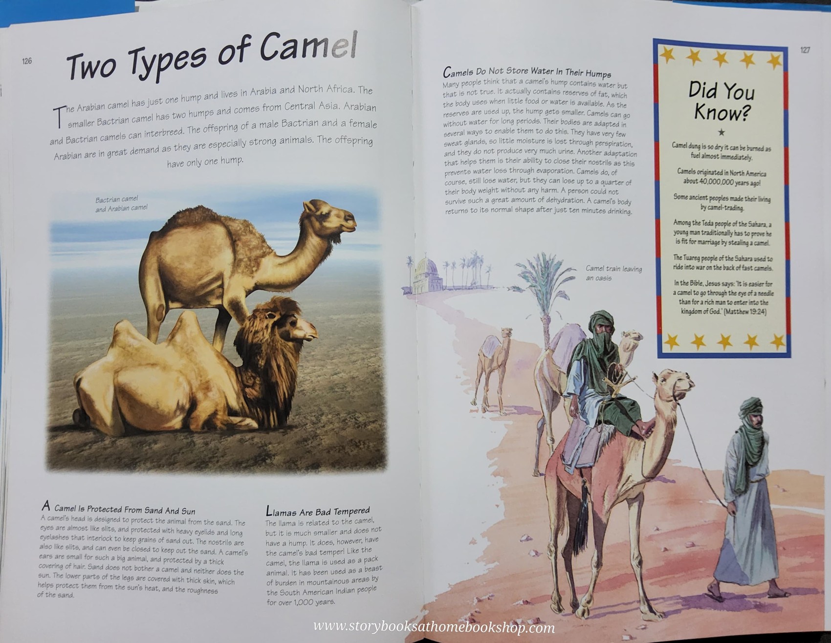 KNOWLEDGE JUMBO BOOK** ♥️♥️DID YOU KNOW?♥️♥️