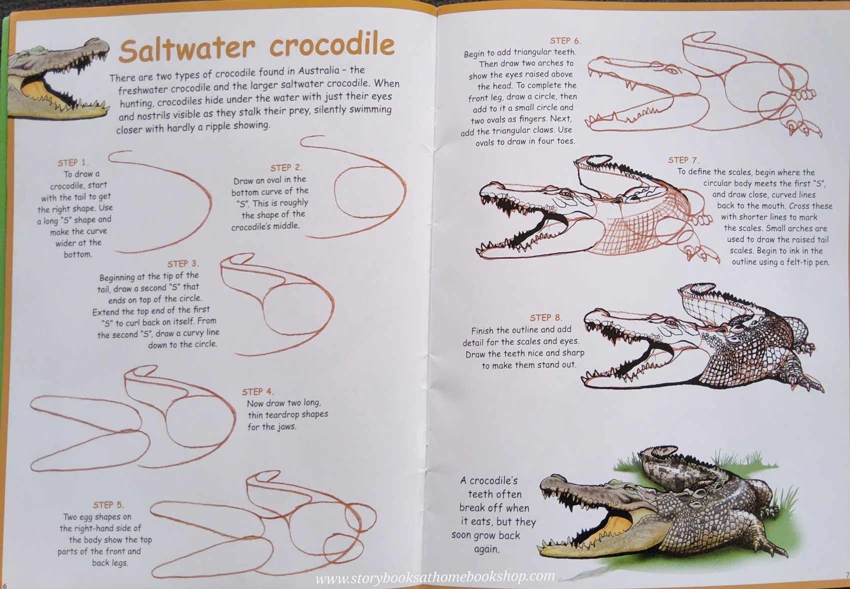 DRAWING BOOK** ð
ðHOW TO DRAW AUSTRALIAN WILLIFE