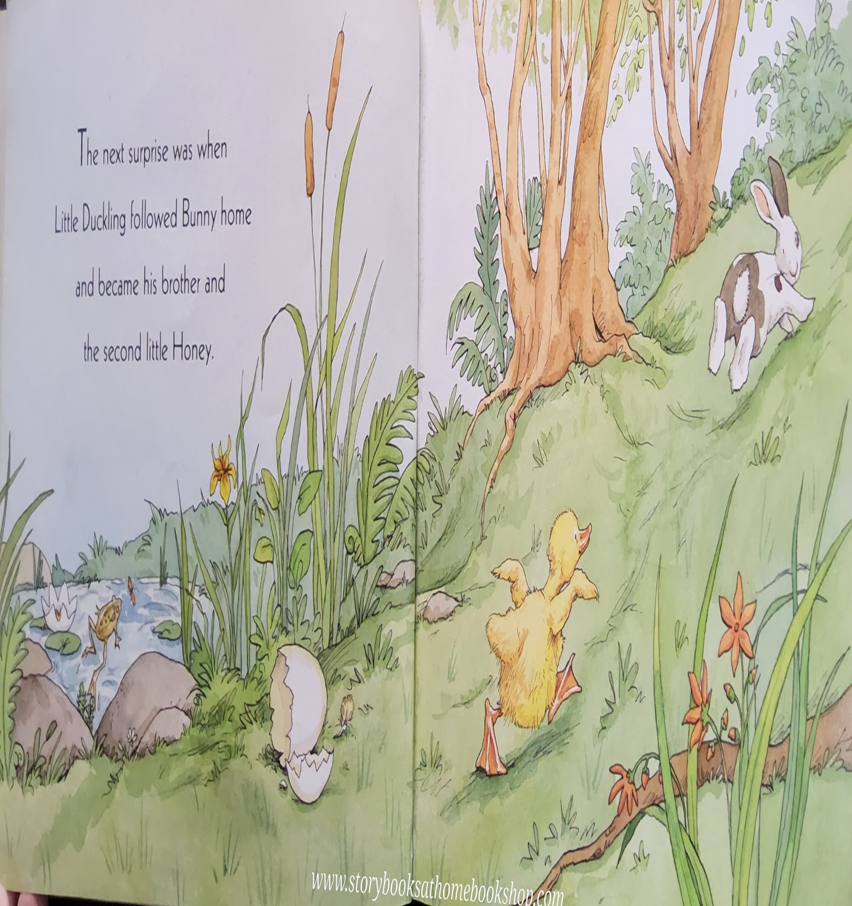 หนังสือนิทานปกอ่อน** 🍅🍓ALL TOGETHER NOW BY ANITA JERAM