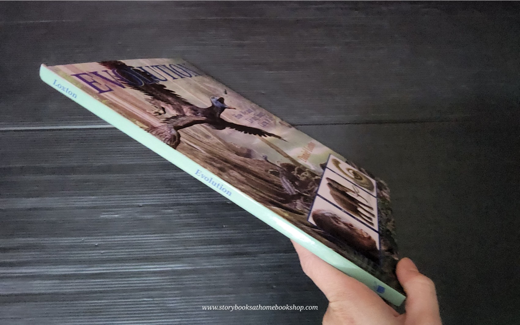 KNOWLEDGE BOOK** ð
ð
EVOLUTION