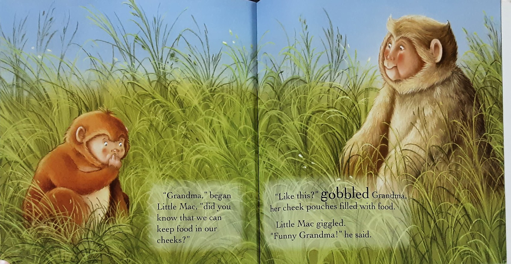 หนังสือนิทานปกอ่อน** 🍅🍓Grandma's Little Monkey