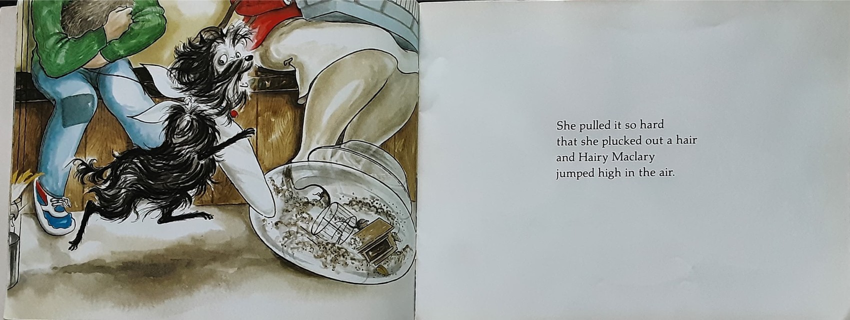 หนังสือนิทานปกอ่อน 🍅🍓Hairy Maclary's Rumpus at the VET by Lynley Dodd