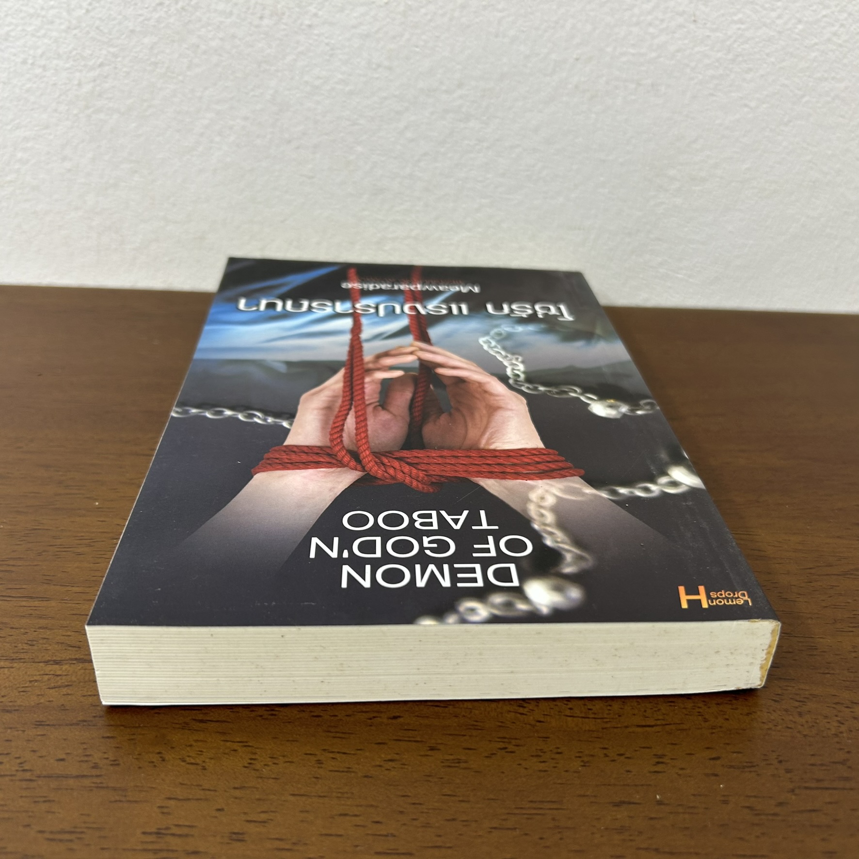 Demon of God'N Taboo โซ่รัก แรงปรารถนา ... Meawparadise (มือสอง) นิยาย โรมานซ์