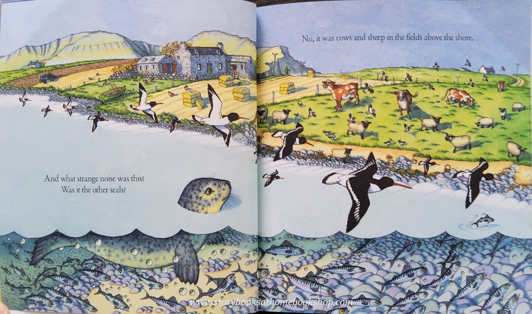 หนังสือนิทานปกอ่อน** 🍅🍓LITTLE SEAL BY BENEDICT BLATHWAYT