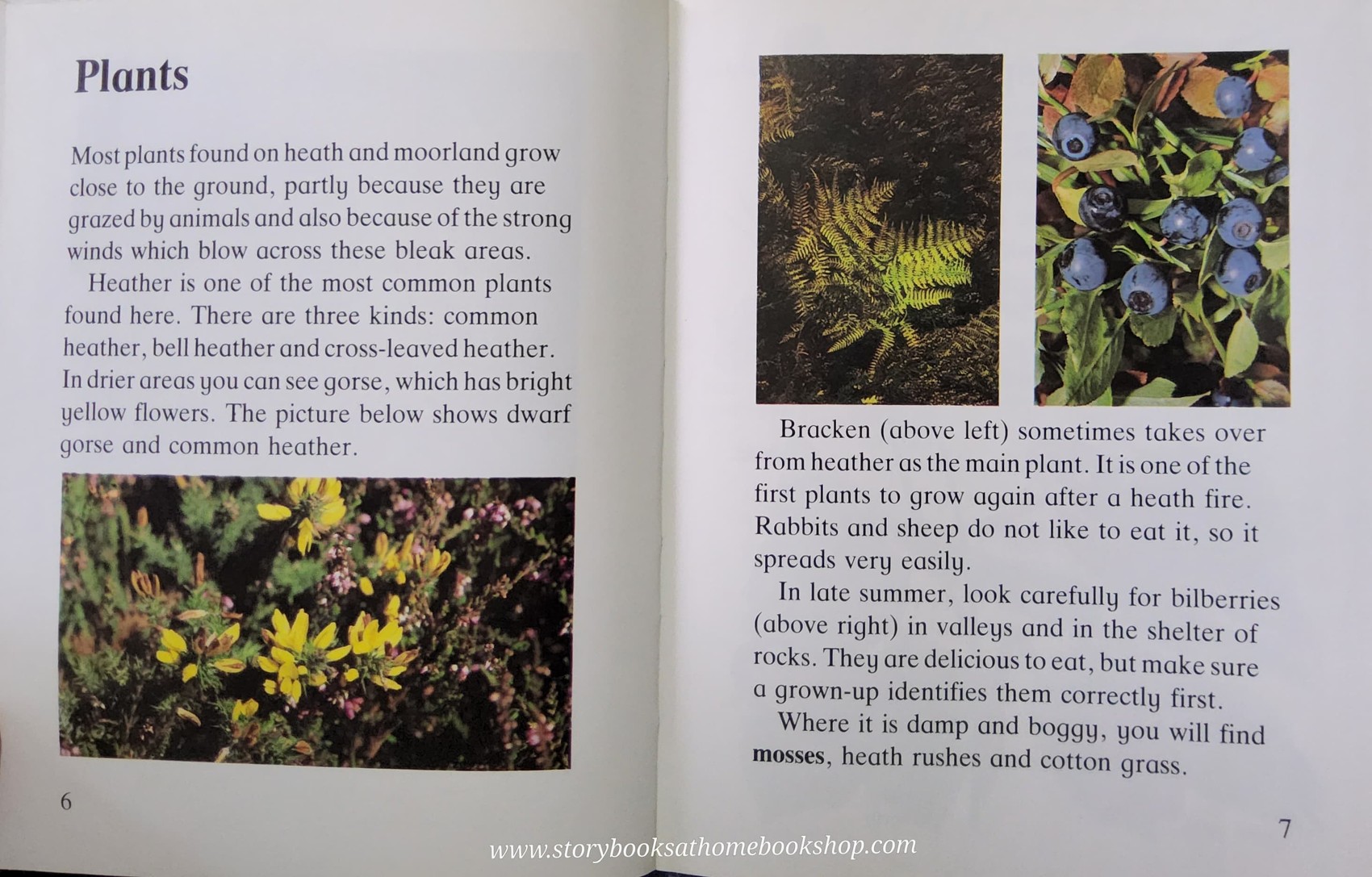 Knowledge Book** NEW BOOK ð
ð
ON HEATH AND MOORLAND