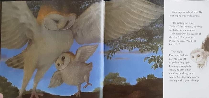 หนังสือนิทานปกอ่อน** 🍓🍓 THE OWL WHO WAS AFRAID OF THE DARK by Jill Tomlinson