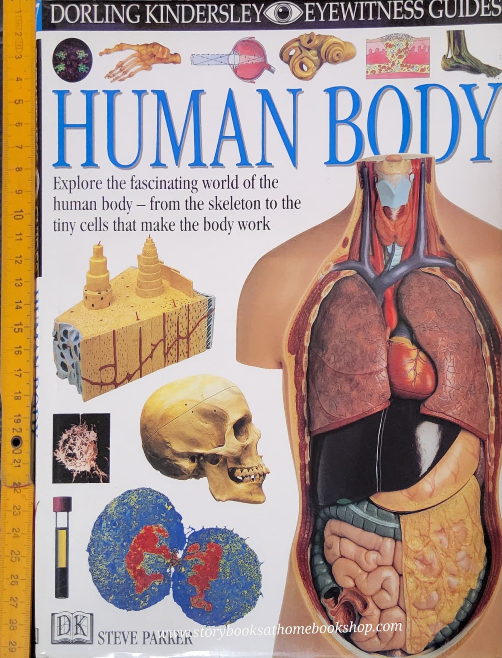 KNOWLEDGE BOOK** ♥️DK EYEWITNESS GUIDES:HUMAN BODY