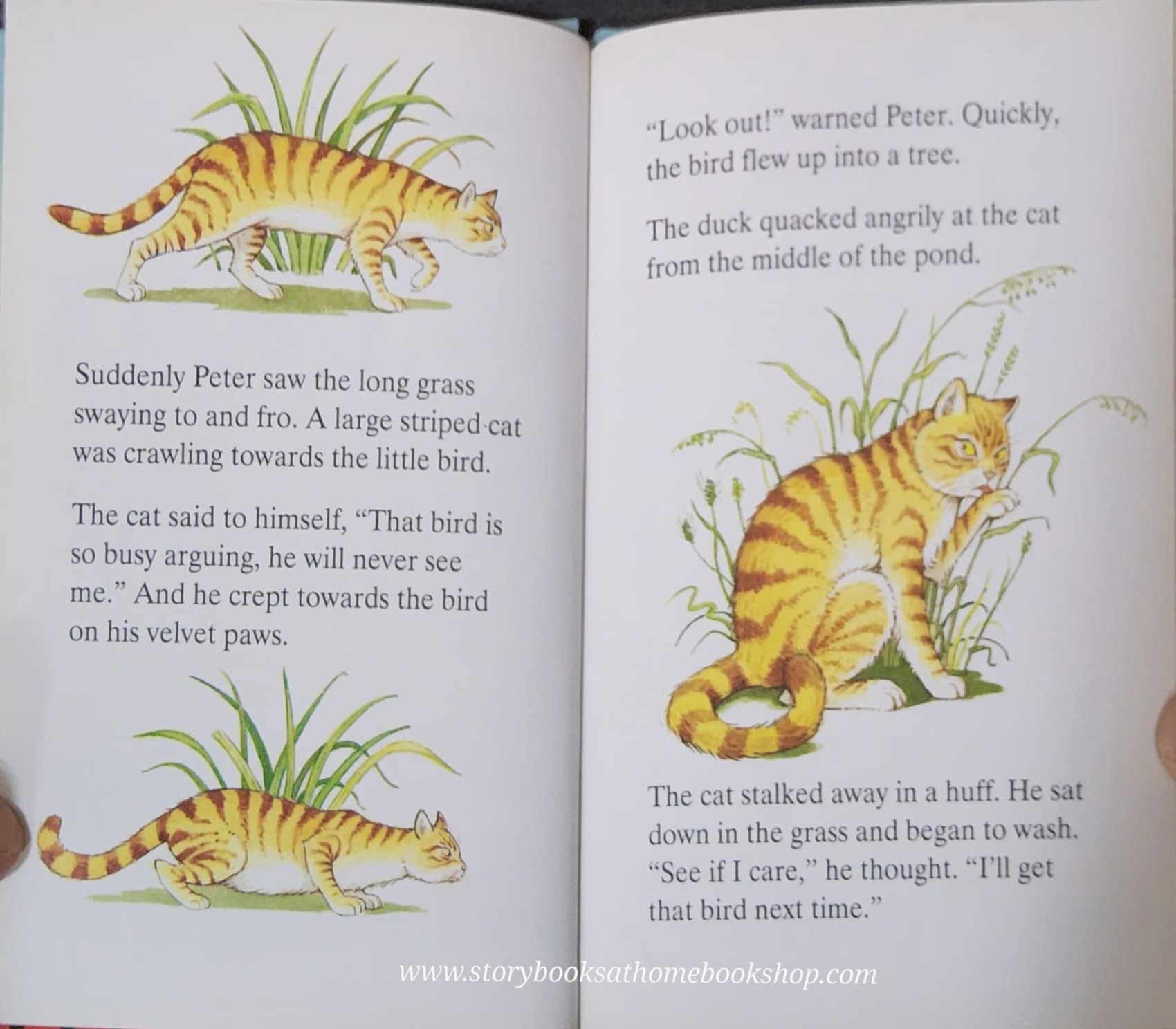 หนังสือนิทานปกแข็ง ** ♥️FAVOURITE TALES PETER AND THE WOLF