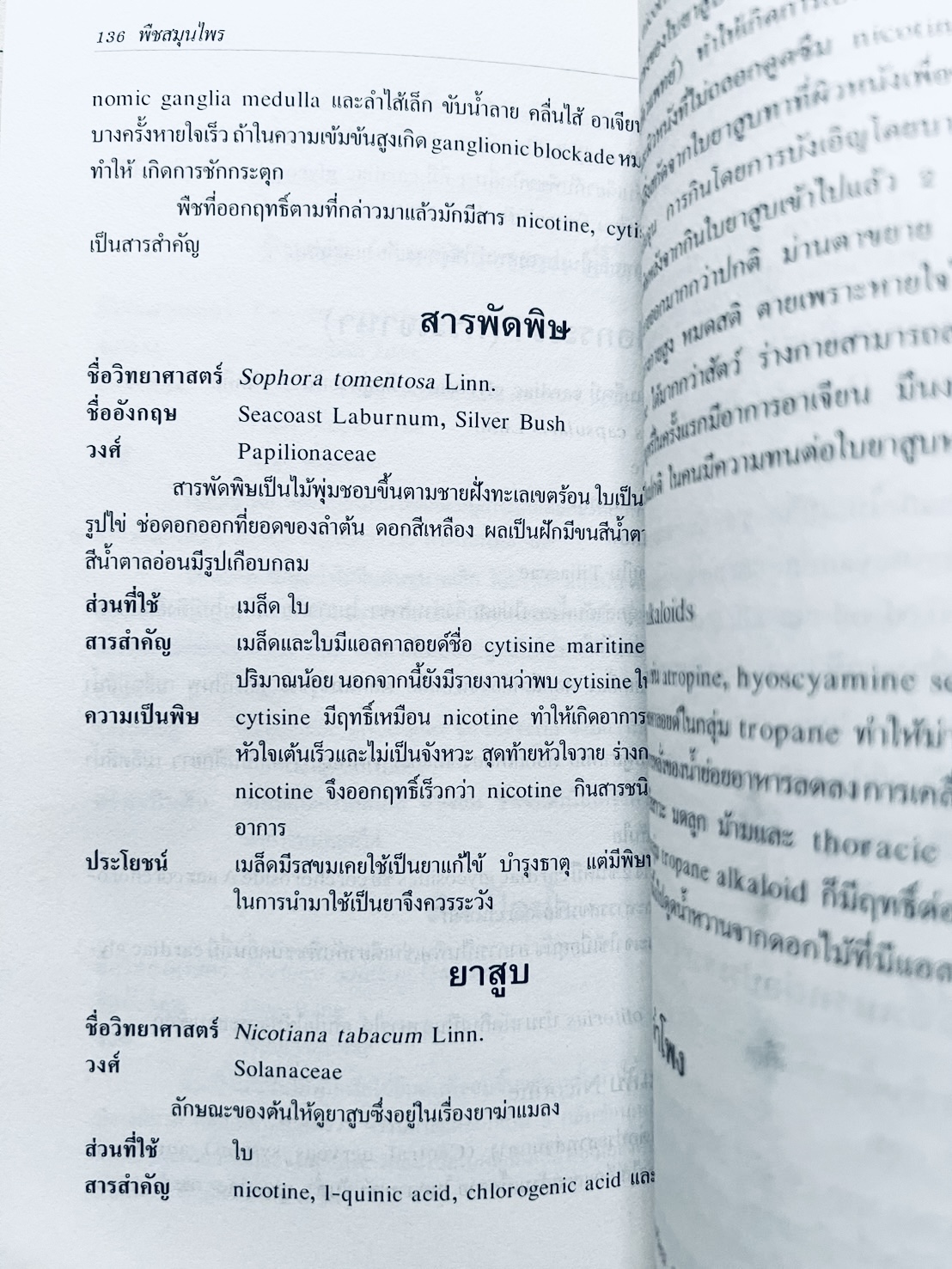 พืชสมุนไพร (ยาสมุนไพรไทย) โดย นิจศิริ เรืองรังษี, พยอม ตันติวัฒน์ คณะเภสัชศาสตร์ จุฬาลงกรณ์มหาวิทยาลัย.