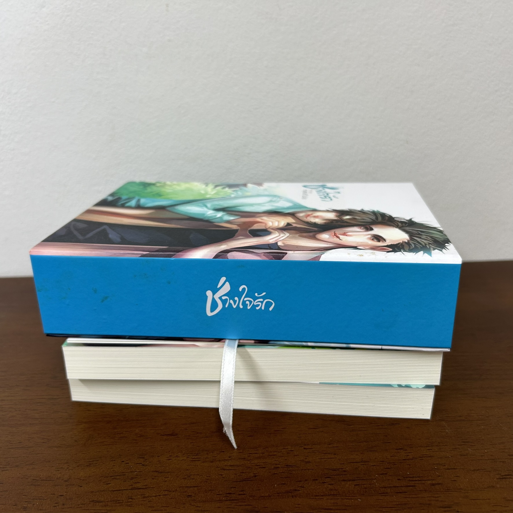 [YAOI] BOXSET ช่างใจรัก เล่ม 1-2 จบ ... หนูแดงตัวน้อย (มือสอง) นิยายวาย