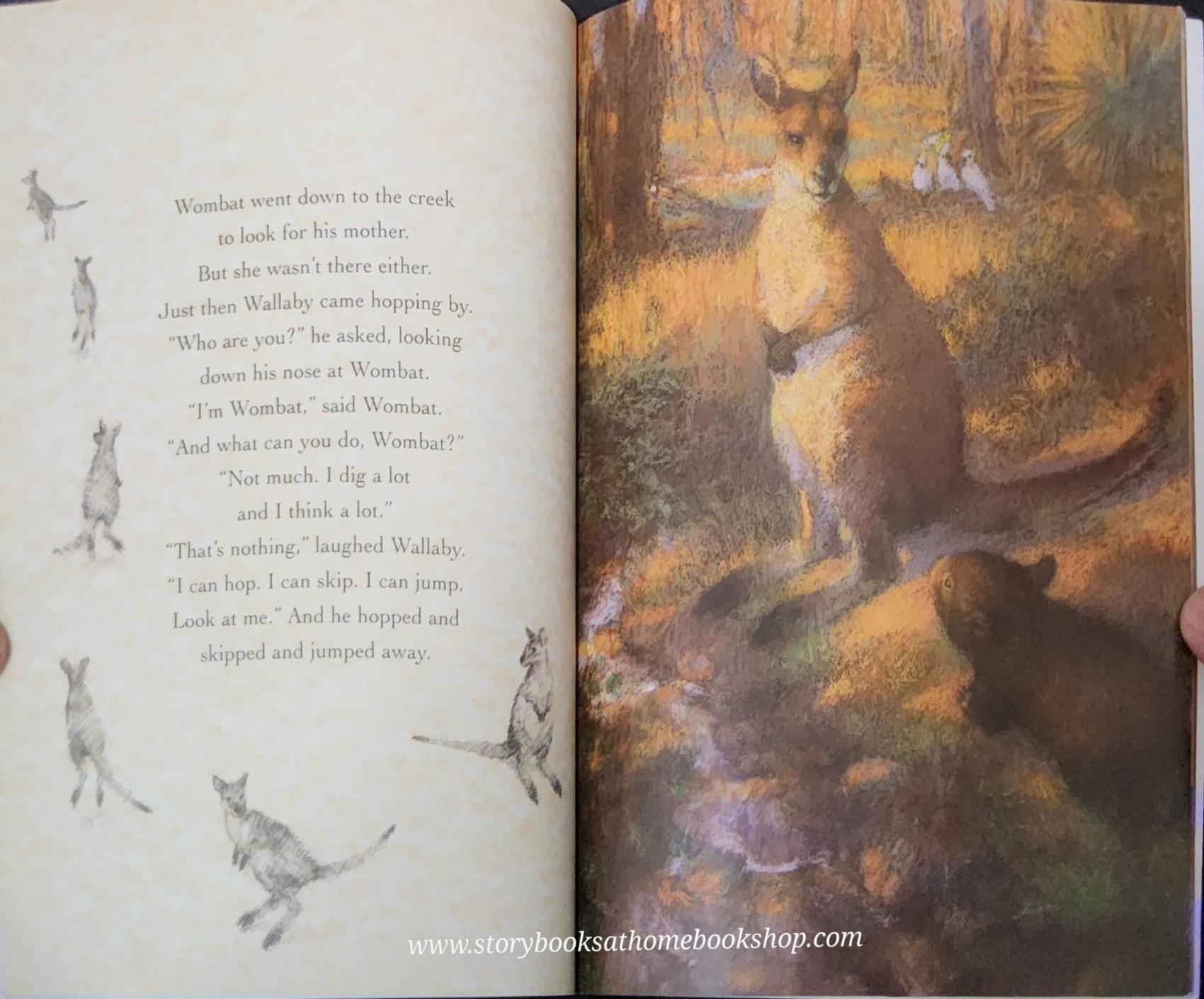 หนังสือนิทานปกอ่อน** 🍅WINNIE AND WILBUR IN SPACE by Valerie Thomas and Korky Paul