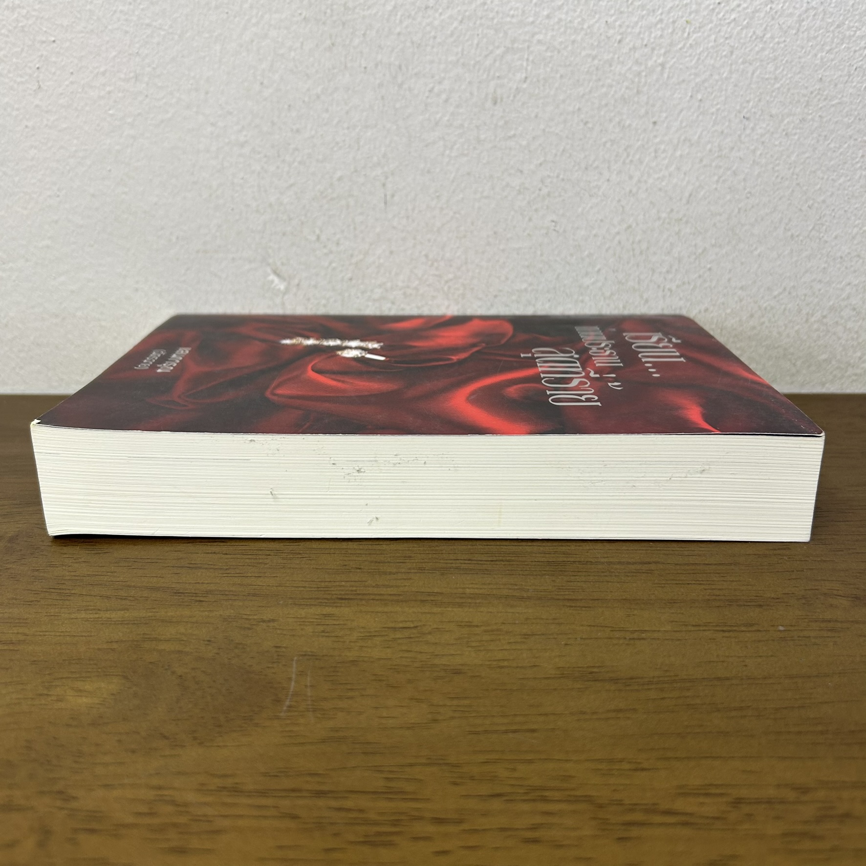 เรียน...ท่านประธานสุดที่ร้าย ... แสนการุณ ฉัตรฉาย (มือสอง) นิยายรัก โรมานซ์ ทำมือ