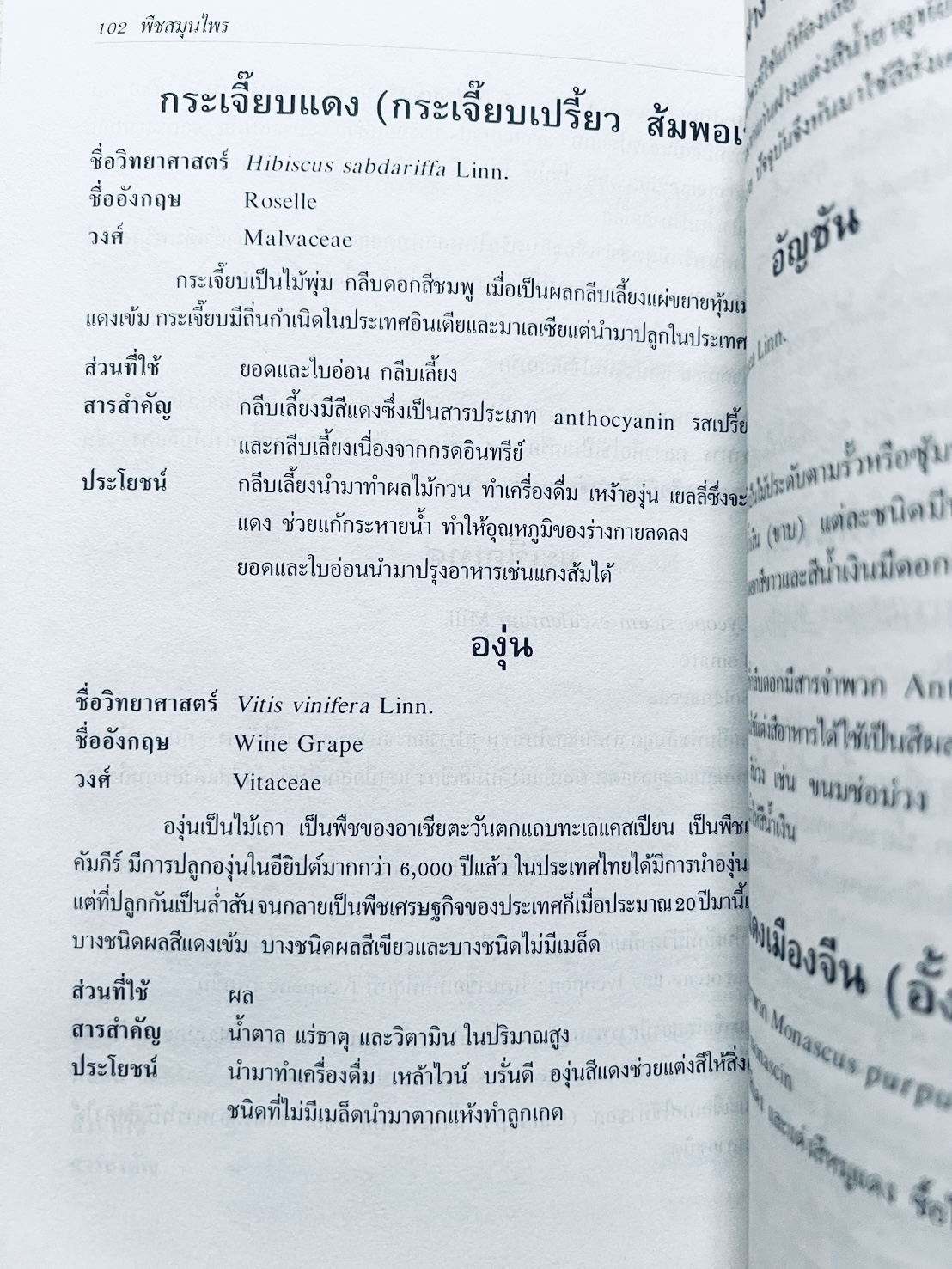 พืชสมุนไพร (ยาสมุนไพรไทย) โดย นิจศิริ เรืองรังษี, พยอม ตันติวัฒน์ คณะเภสัชศาสตร์ จุฬาลงกรณ์มหาวิทยาลัย.