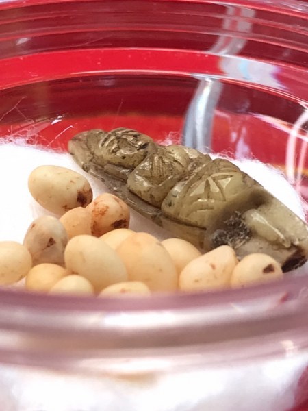 พระทันตธาตุหลวงปู่ครูบาชัยยะวงศา แกะเป็นรูปพระพุทธรูป พร้อมกับพระธาตุข้าวบิณฑ์