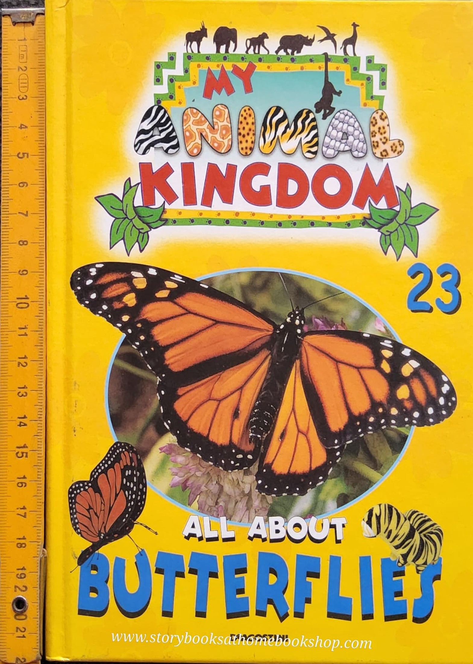 KNOWLEDGE BOOK ** 🍅🍓MY ANIMAL KINGDOM:ALL ABOUT BUTTERFLIES