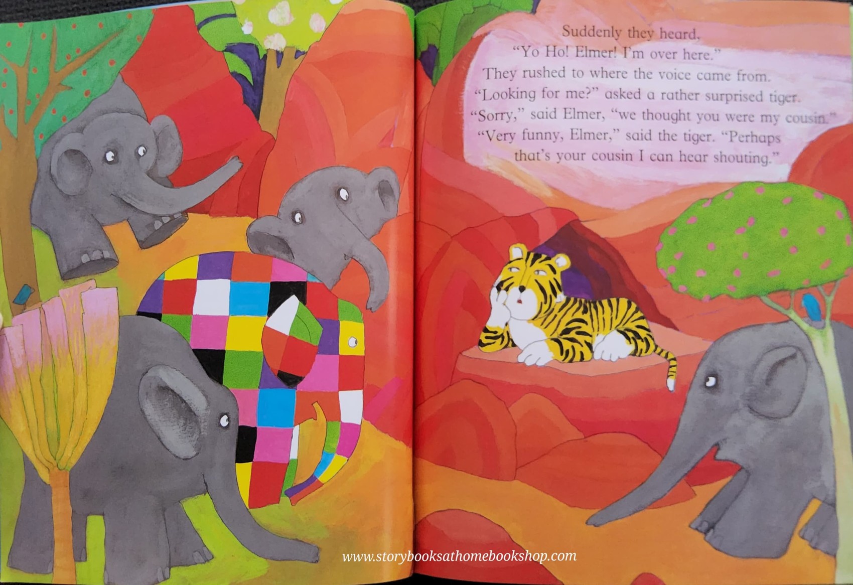 หนังสือนิทานปกอ่อน** 🍓🍓ELMER AND WILBUR BY DAVID MCKEE