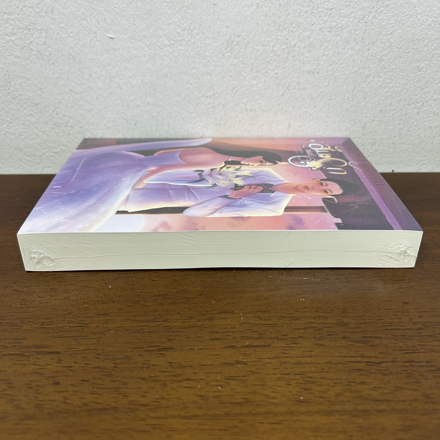 สัมพันธ์รัก ... Ai-Am (มือหนึ่งซีล) นิยาย โรมานซ์