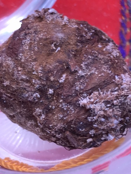 พระชานหมากหลวงปู่ครูบาชัยยะวงศา วัดพระพุทธบาทห้วยต้ม ทั้ง ๒ องค์นี้รับมากับมือหลวงปู่ เมื่อประมาณปี ๒๕๔๑-๒๕๔๓