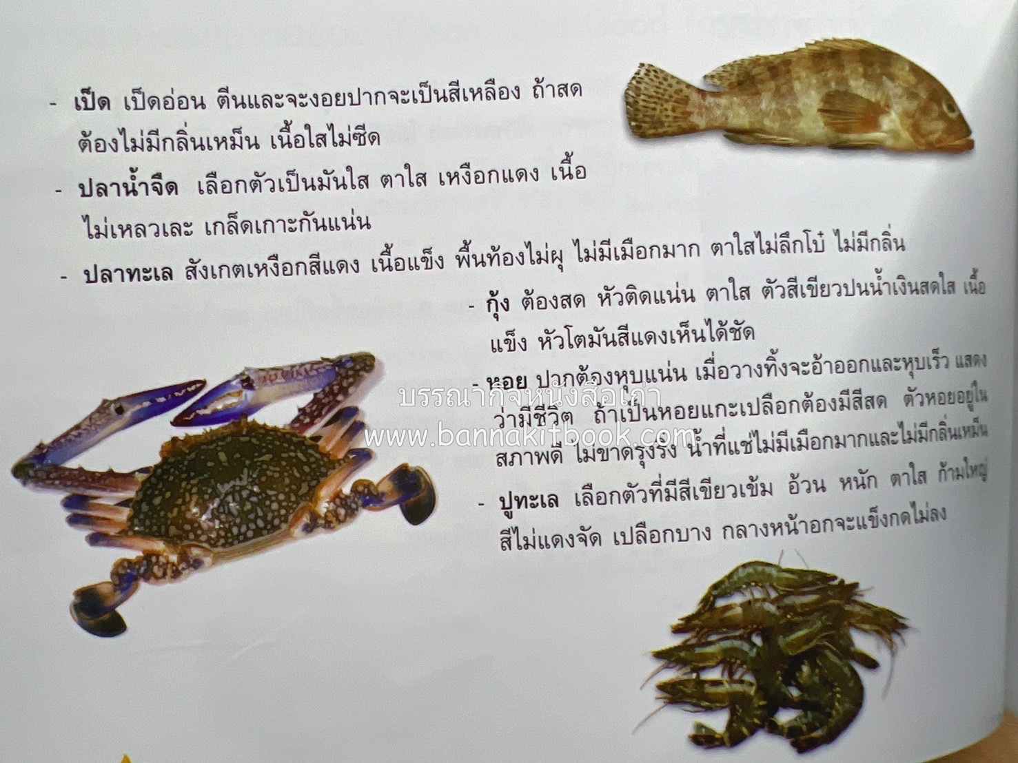 84 เมนูน้ำพริก ผัก รักษ์สุขภาพ และกินตามแม่ (2 เล่มชุด).
