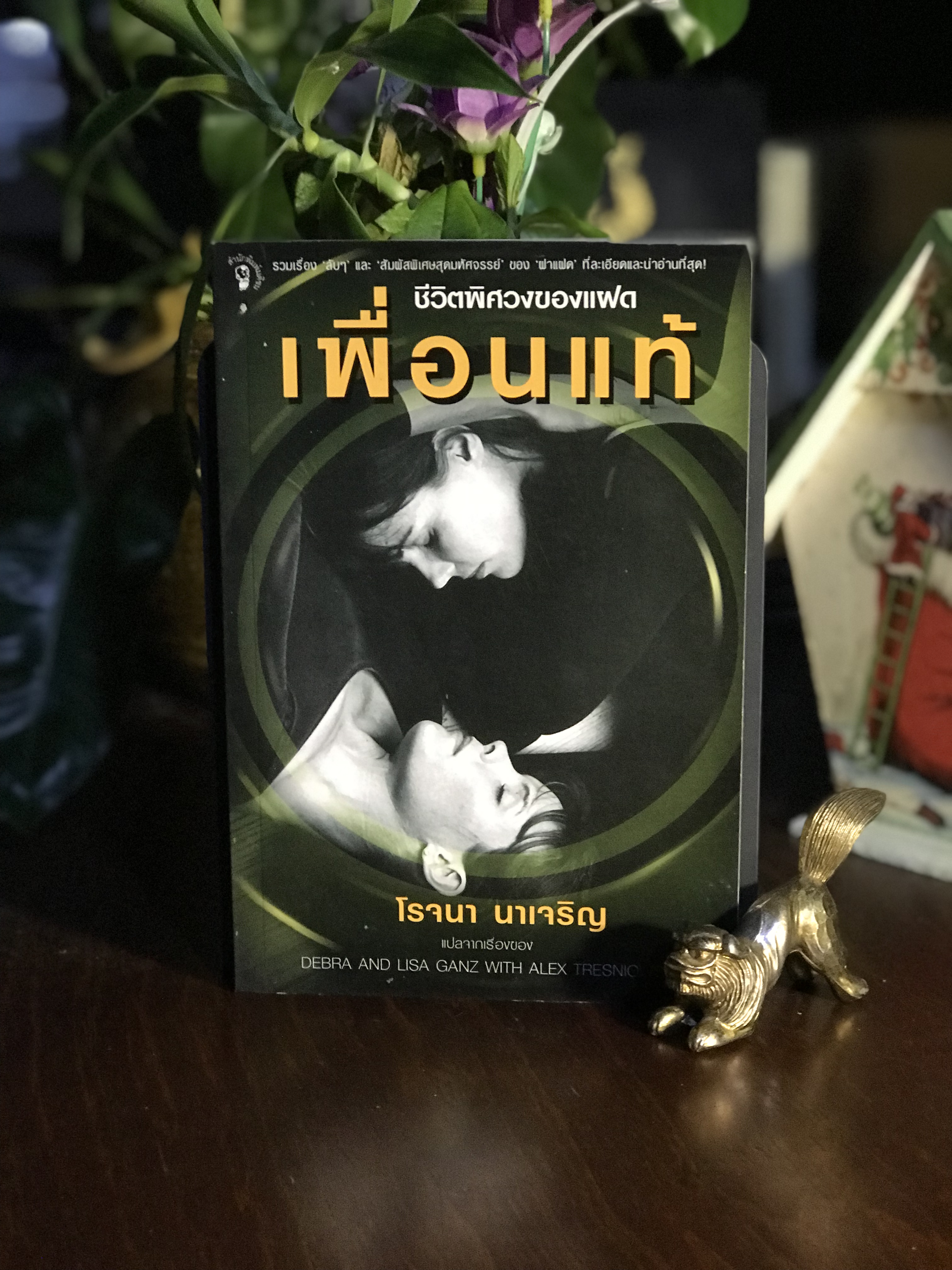 ชีวิตพิศวงของแฝด ผู้เขียน: Debra & Lisa Ganz ร่วมกับ Alex Tresniowski ผู้แปล: โรจนา นาเจริญ | WA9