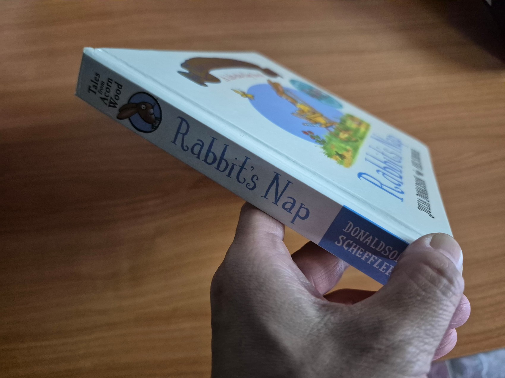 LIFT THE FLAP BOARD BOOK** 🍅🍓 RABBIT'S NAP BY JULIA DONALDSON.AXEL SCHEFFLER