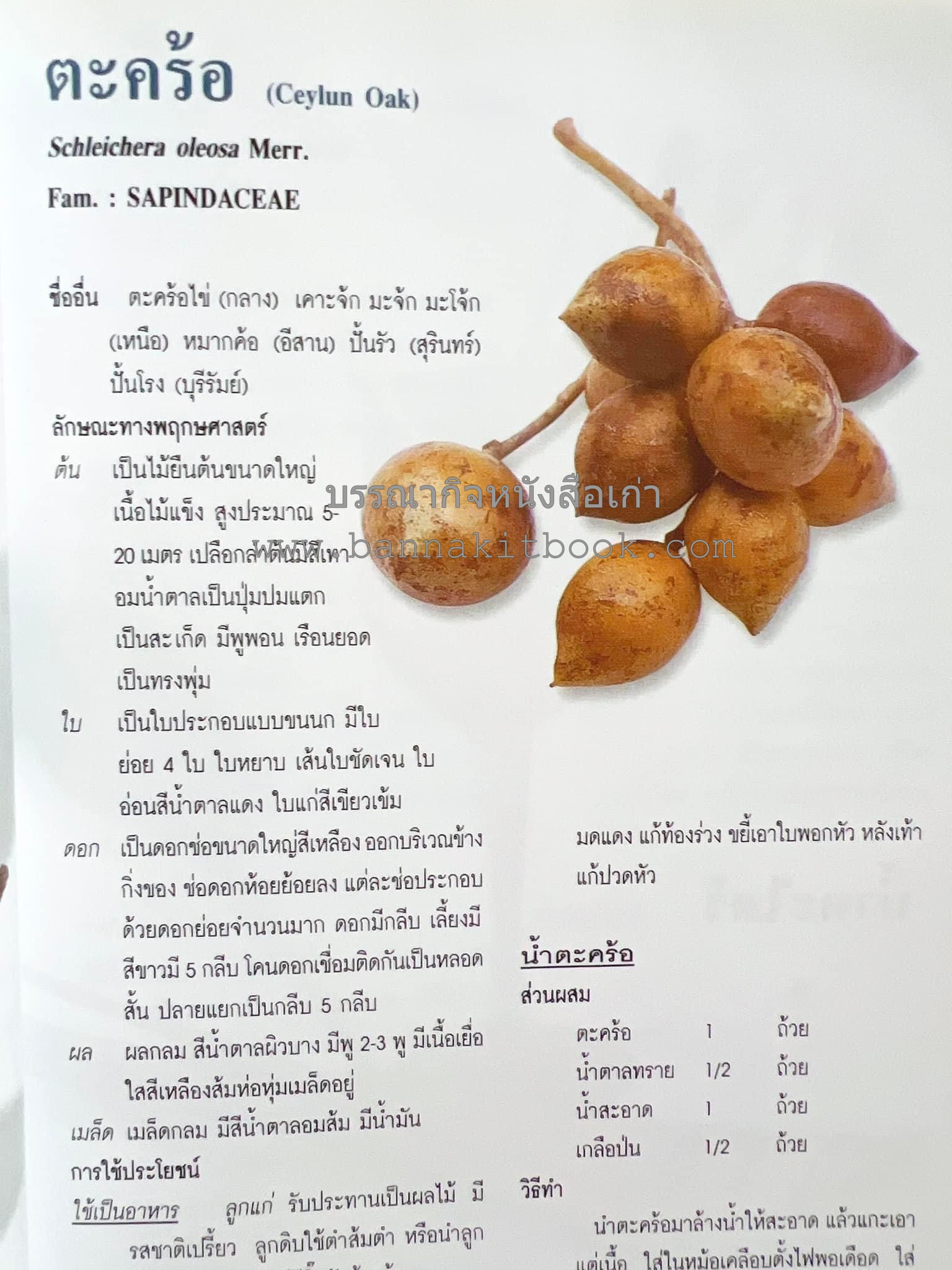 น้ำสมุนไพร 108 สูตร-วิธีทำจากผักพื้นบ้านและผลไม้ไทย โดย สถาบันการแพทย์แผนไทย.