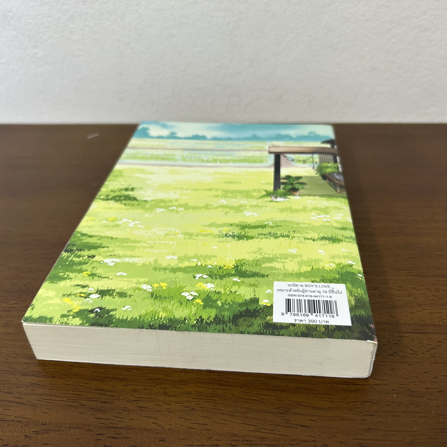 [YAOI] รบกวนเช็กเดดไลน์ด้วยนะครับ...คุณนักเขียน ... SweetyN (มือสอง) นิยายวาย NanaNaris