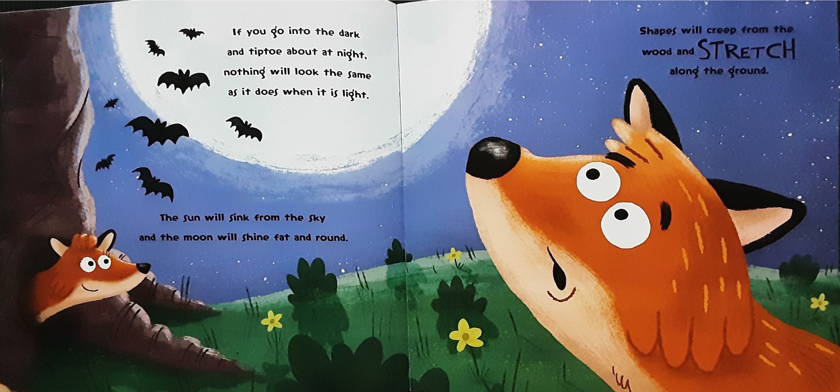 หนังสือนิทานปกอ่อน** 🍅WHO'S AFRAID OF THE DARK?