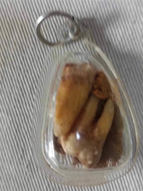 พระทันตธาตุ (คู่ ๒องค์) หลวงปู่ดอนตัน วัดดอนตัน อ.ท่าวังผา จ.น่าน ได้มาจากคุณเก่งน่าน อายุ 43 ปี (พ.ศ.2566) ทำธุรกิจร้านอาหารและร้านบูชาพระที่จังหวัดน่าน พ่อหนานน้อย ปู่ของคุณเก่งน่าน ได้รับมาจากมือหลวงปู่ด้วยตัวเอง พ่อหนานน้อยเสียชีวิตเมื่อปี ๒๕๔๘